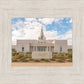 Phoenix Temple Desert Oasis