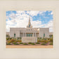 Phoenix Temple Desert Oasis