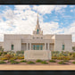 Phoenix Temple Desert Oasis