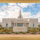 Phoenix Temple Desert Oasis