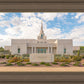 Phoenix Temple Desert Oasis