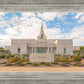 Phoenix Temple Desert Oasis