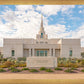 Phoenix Temple Desert Oasis