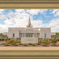 Phoenix Temple Desert Oasis