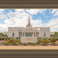Phoenix Temple Desert Oasis
