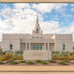 Phoenix Temple Desert Oasis