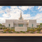 Phoenix Temple Desert Oasis