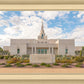 Phoenix Temple Desert Oasis