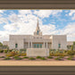 Phoenix Temple Desert Oasis