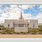 Phoenix Temple Desert Oasis