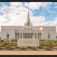 Phoenix Temple Desert Oasis