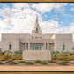 Phoenix Temple Desert Oasis