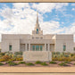 Phoenix Temple Desert Oasis
