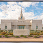 Phoenix Temple Desert Oasis