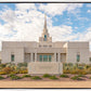 Phoenix Temple Desert Oasis
