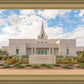 Phoenix Temple Desert Oasis