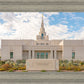 Phoenix Temple Desert Oasis