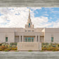 Phoenix Temple Desert Oasis