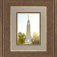 Redlands Temple Heavenly Glow