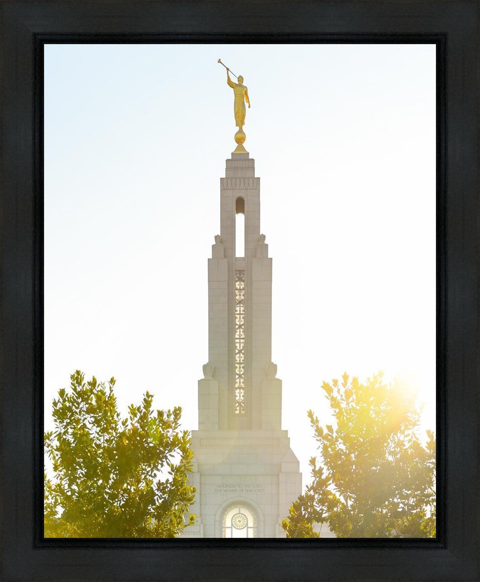 Redlands Temple Heavenly Glow Gallery Wrap