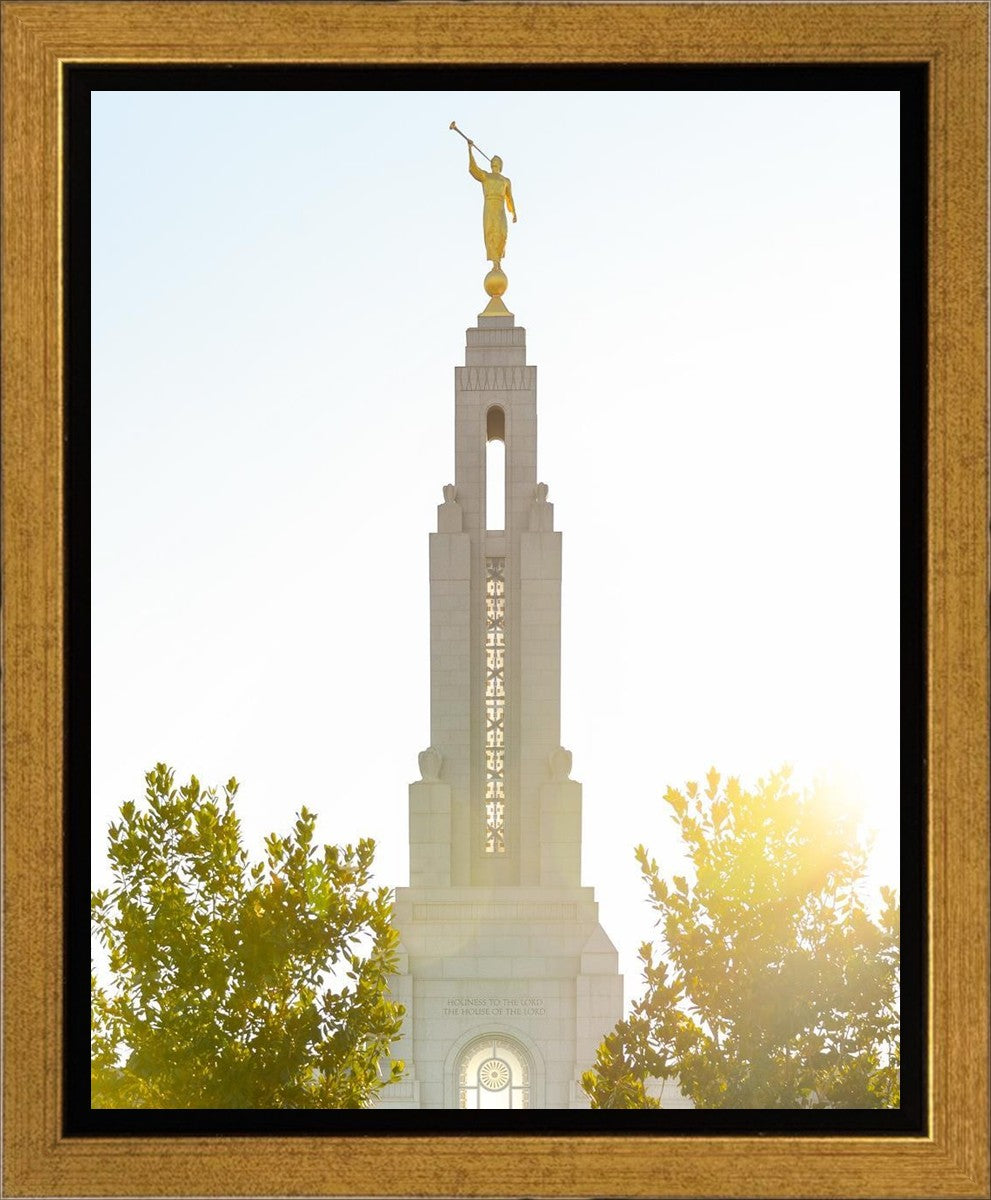 Redlands Temple Heavenly Glow Gallery Wrap