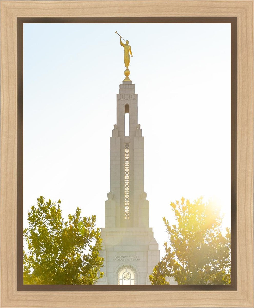 Redlands Temple Heavenly Glow Gallery Wrap