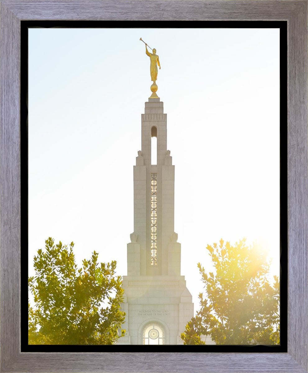 Redlands Temple Heavenly Glow Gallery Wrap