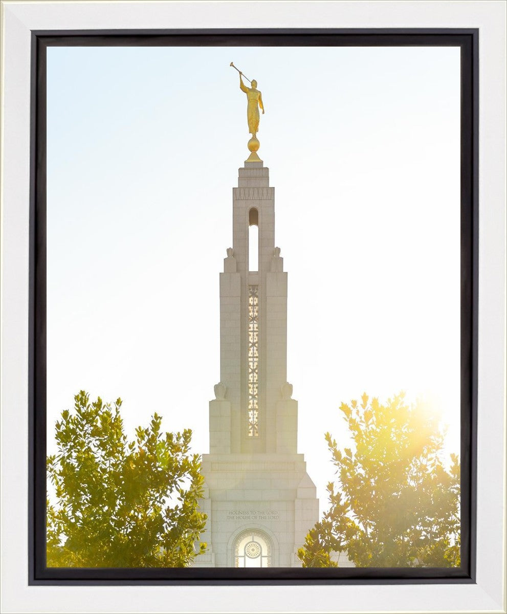 Redlands Temple Heavenly Glow Gallery Wrap