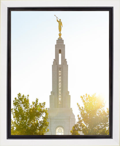 Redlands Temple Heavenly Glow