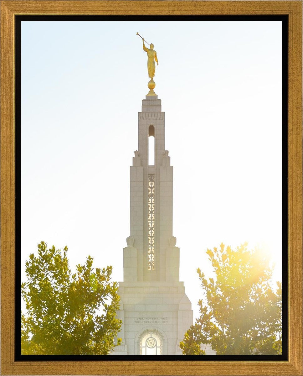 Redlands Temple Heavenly Glow Gallery Wrap