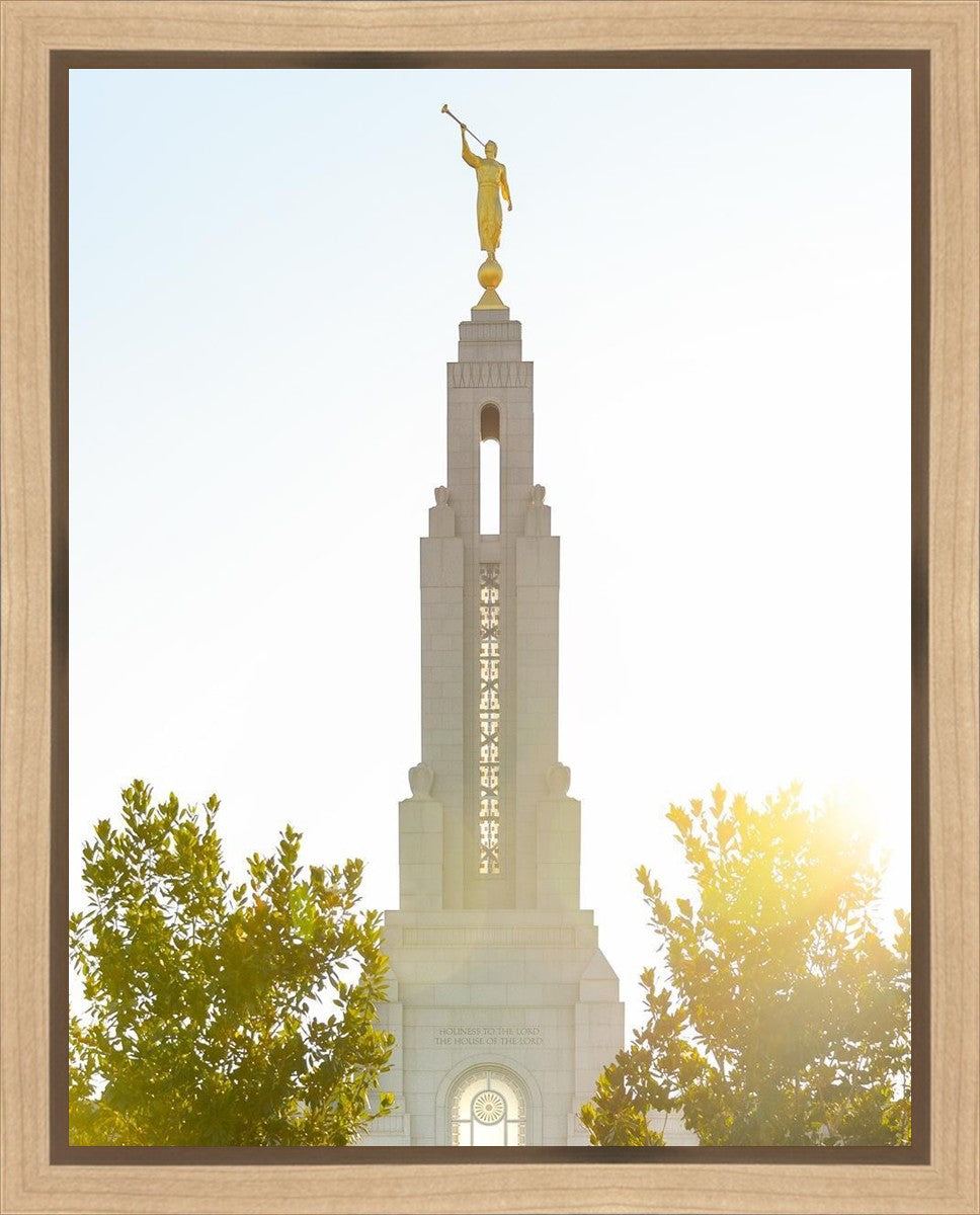 Redlands Temple Heavenly Glow Gallery Wrap