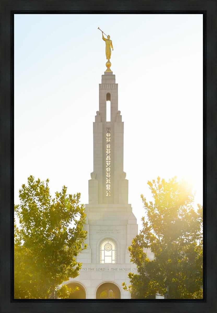 Redlands Temple Heavenly Glow Gallery Wrap
