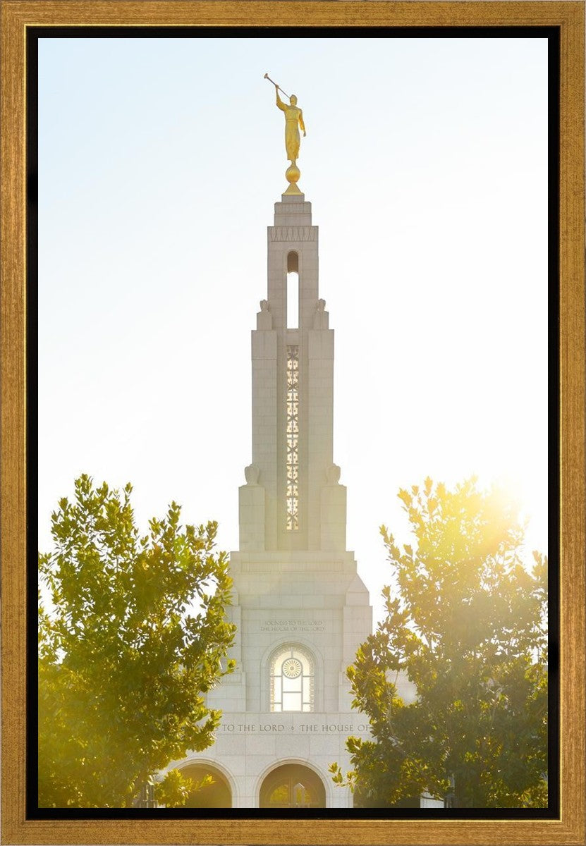 Redlands Temple Heavenly Glow Gallery Wrap