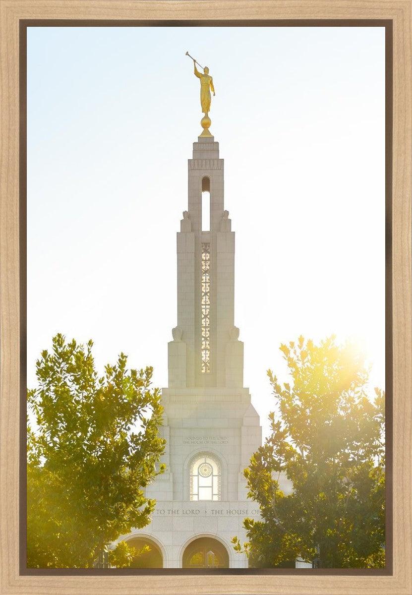 Redlands Temple Heavenly Glow Gallery Wrap