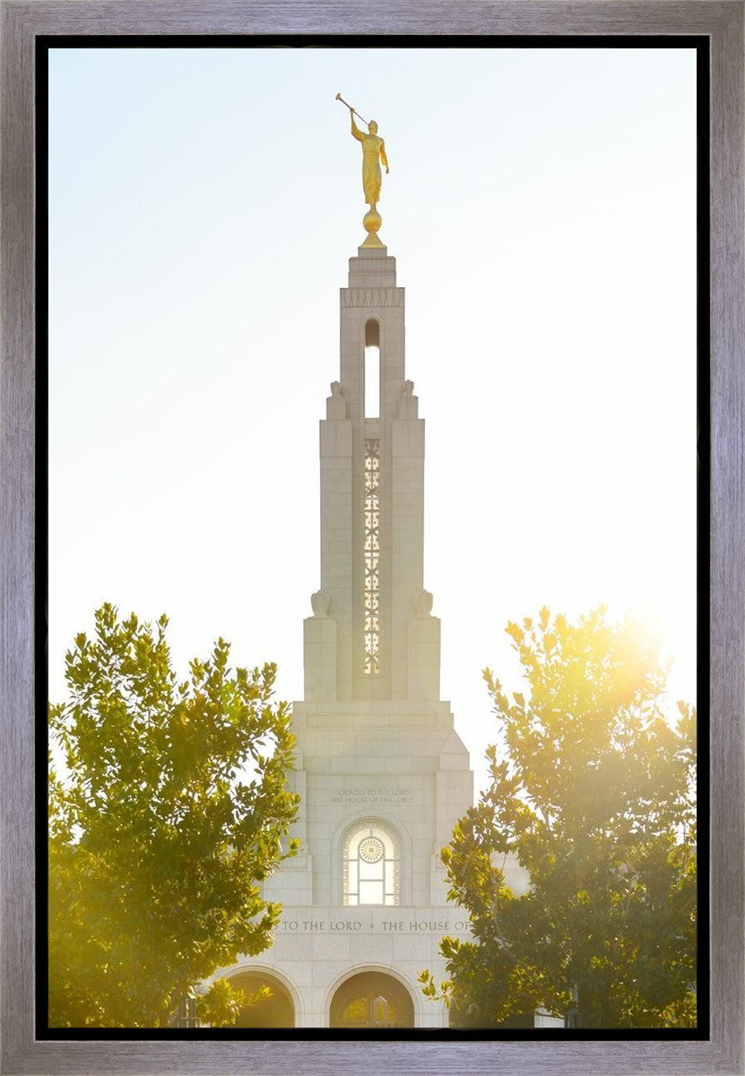 Redlands Temple Heavenly Glow Gallery Wrap