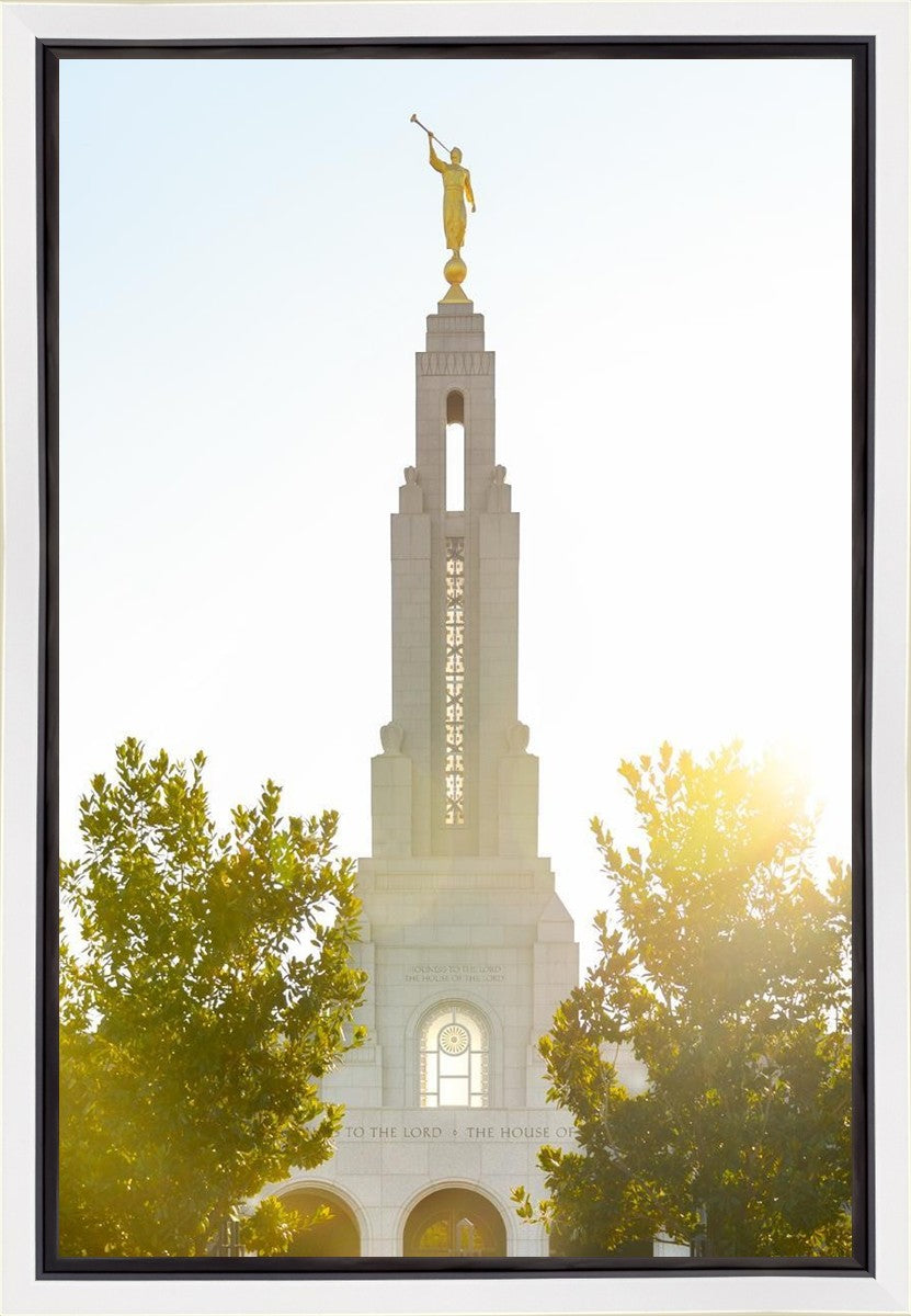 Redlands Temple Heavenly Glow Gallery Wrap