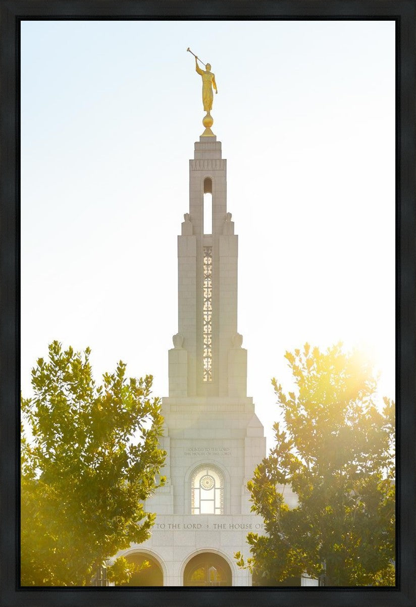 Redlands Temple Heavenly Glow Gallery Wrap