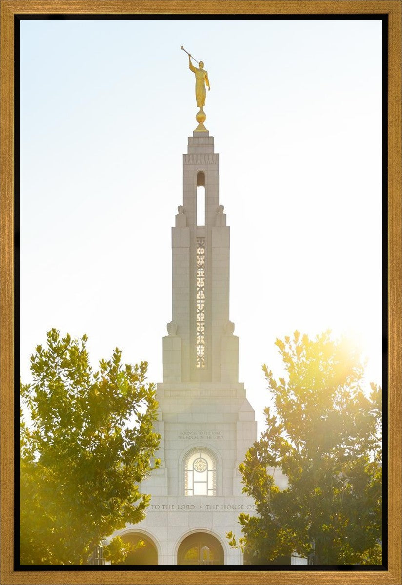 Redlands Temple Heavenly Glow Gallery Wrap