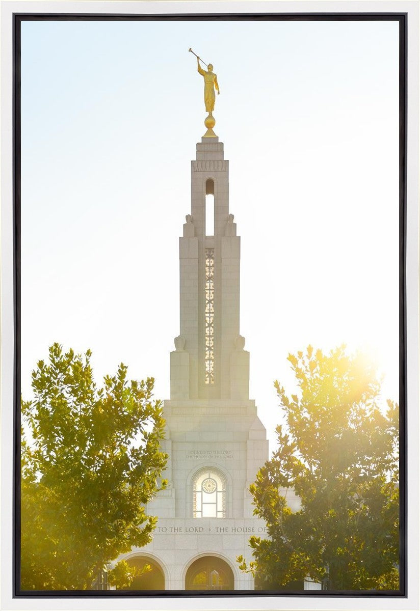 Redlands Temple Heavenly Glow Gallery Wrap