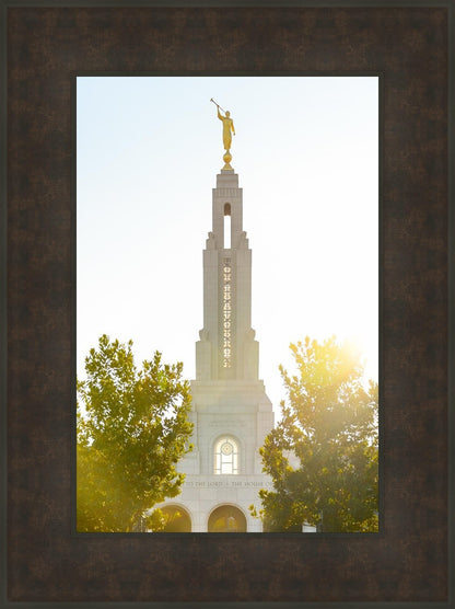 Redlands Temple Heavenly Glow