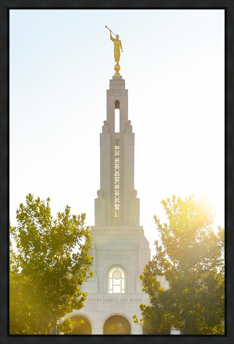Redlands Temple Heavenly Glow Gallery Wrap