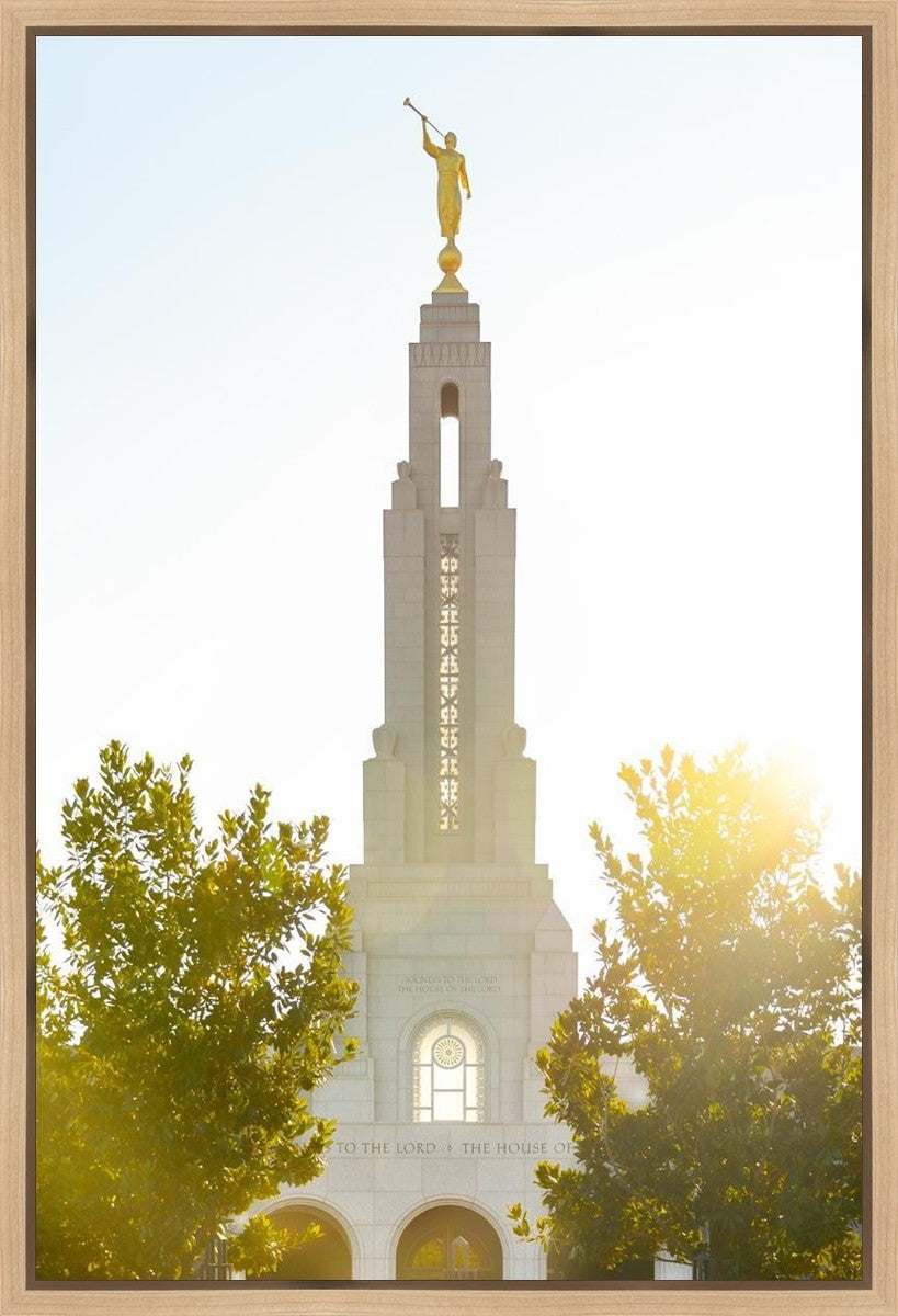 Redlands Temple Heavenly Glow Gallery Wrap