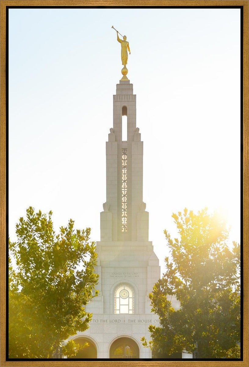 Redlands Temple Heavenly Glow Gallery Wrap