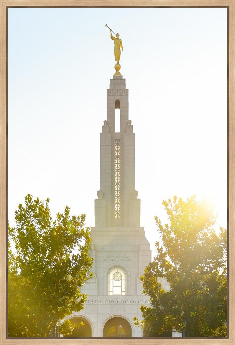 Redlands Temple Heavenly Glow Gallery Wrap