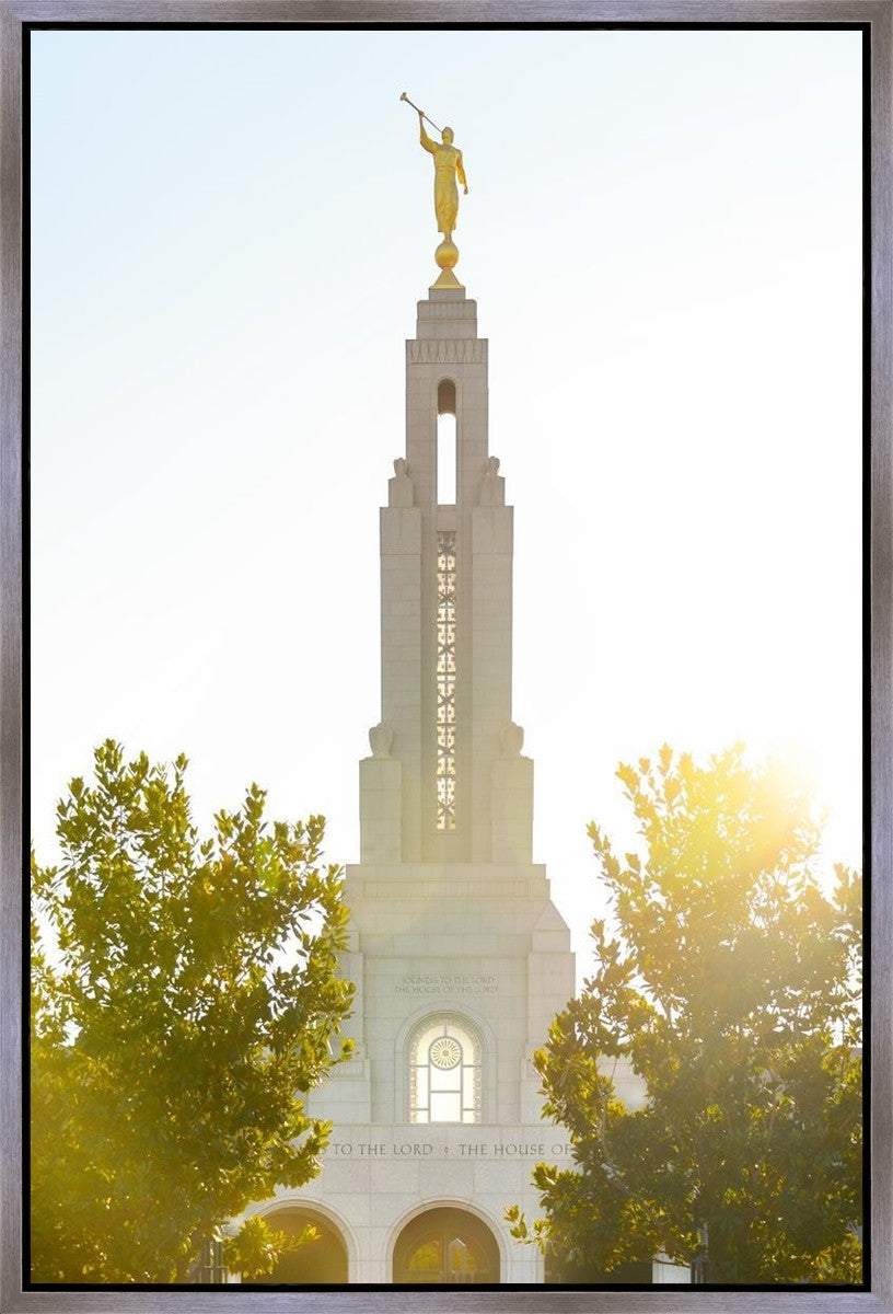 Redlands Temple Heavenly Glow Gallery Wrap