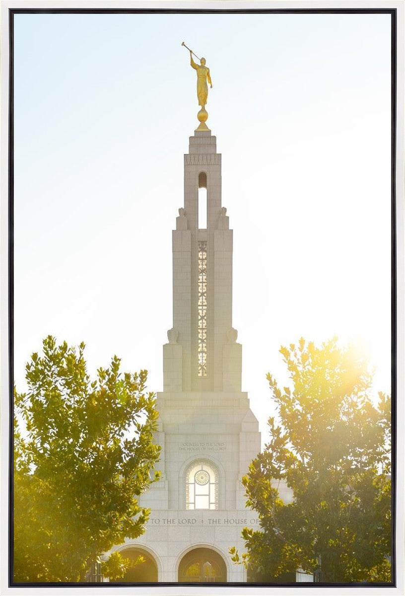 Redlands Temple Heavenly Glow Gallery Wrap