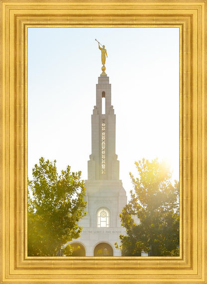 Redlands Temple Heavenly Glow