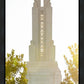 Redlands Temple Heavenly Glow