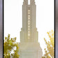 Redlands Temple Heavenly Glow