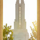 Redlands Temple Heavenly Glow